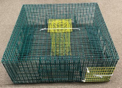3 x Seahorse Collapsible Shrimp/Bait Traps With 1 1/2 Inch Entry